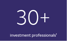 30+ investment professionals