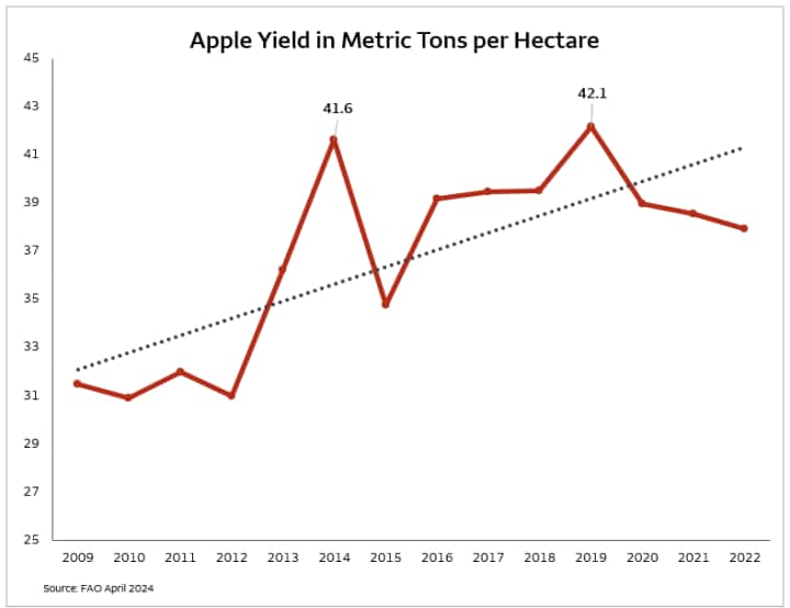 Chart tracks apple yield (metric tons per hectare) during timespan of 2009 through 2022.  Yield is trending upward as it 41.6 metric tons of apples per hectare were produced in 2014 and 42.1 metric tons of apples per hectare in 2019.