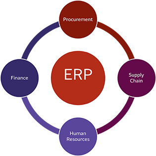 Circular diagram showing the four stages of ERP: Procurement to Supply Chain to Human Resources to Finance and back to Procurement