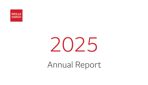 IR-annual_report-2025