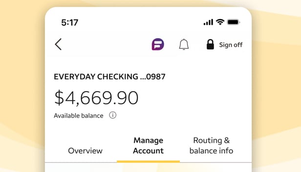 check my balance online