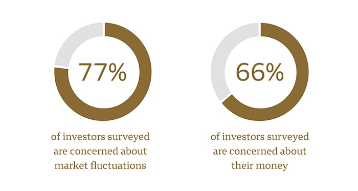 chart indicates that more than three-quarters of investors are concerned about market fluctuations, with two-thirds of participants also indicating they are worried about their money.