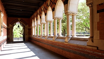 A hallway with pillars and plants